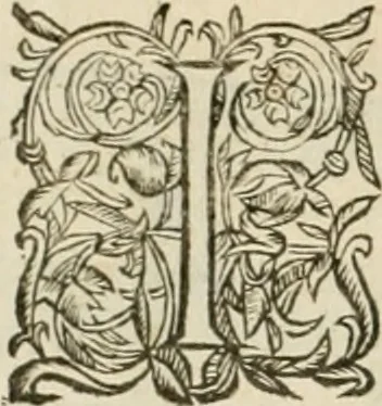 An illustration from Architecture de Philibert de l'Orme ... : uure entiere contenant onze livres, augmentée de deux, & autres figures non encores veuës, tant pour desseins qu'ornemens de maisons : avec vne belle inuention pour bien bastir, & à petits fraiz .., 1626, leaf 663