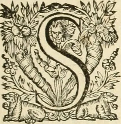 An illustration from Architecture de Philibert de l'Orme ... : uure entiere contenant onze livres, augmentée de deux, & autres figures non encores veuës, tant pour desseins qu'ornemens de maisons : avec vne belle inuention pour bien bastir, & à petits fraiz .., 1626, leaf 8