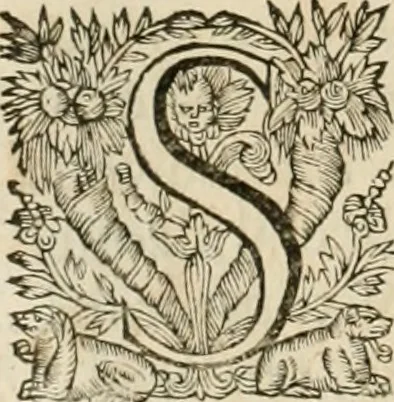 An illustration from Architecture de Philibert de l'Orme ... : uure entiere contenant onze livres, augmentée de deux, & autres figures non encores veuës, tant pour desseins qu'ornemens de maisons : avec vne belle inuention pour bien bastir, & à petits fraiz .., 1626, leaf 85