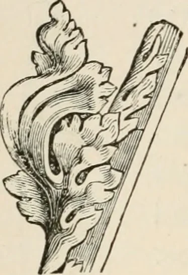 An illustration from Architecture for general students, 1874, leaf 183