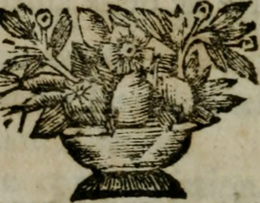 An illustration from Architecture generale de Vitruve, 1681, leaf 299