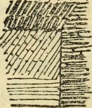 An illustration from Architecture : an introduction to the history and theory of the art of building, 1912, leaf 58