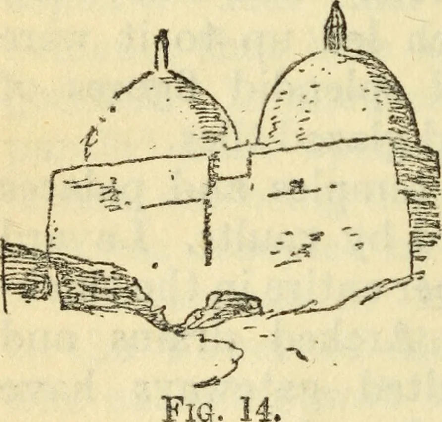 An illustration from Architecture : an introduction to the history and theory of the art of building, 1912, leaf 75