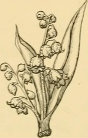 An illustration from The architecture of ancient Delhi : especially the buildings around the Kutb Minar, 1872, leaf 13