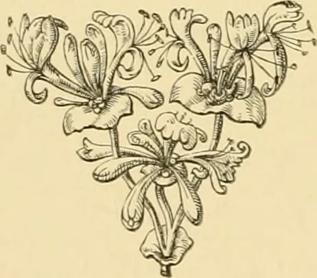 An illustration from The architecture of ancient Delhi : especially the buildings around the Kutb Minar, 1872, leaf 141