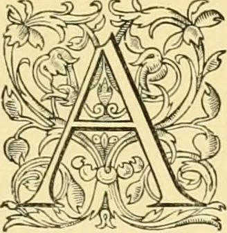 An illustration from The architecture of ancient Delhi : especially the buildings around the Kutb Minar, 1872, leaf 192