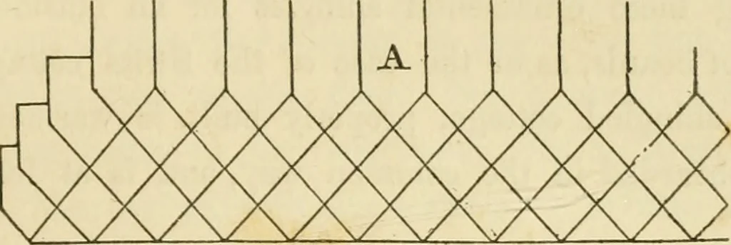 An illustration from The architecture of country houses : including designs for cottages, farm houses, and villas, with remarks on interiors, furniture, and the best modes of warming and ventilating, 1851, leaf 234