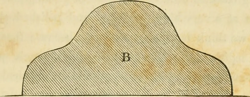 An illustration from The architecture of country houses : including designs for cottages, farm houses, and villas, with remarks on interiors, furniture, and the best modes of warming and ventilating, 1851, leaf 68