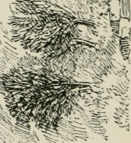 An illustration from The architecture of Provence and the Riviera, 1888, leaf 191