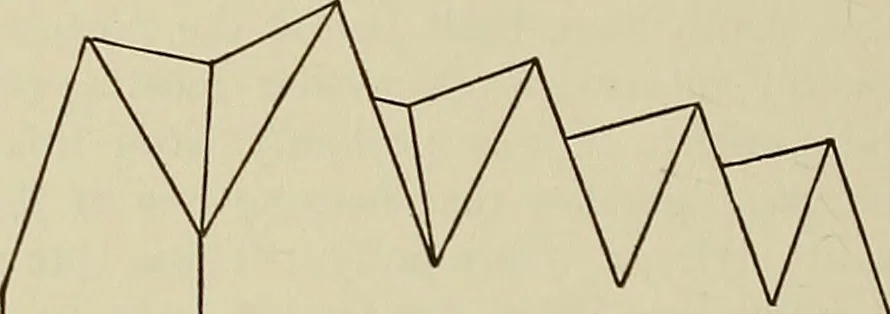 An illustration from Medieval architecture, its origins and development, with lists of monuments and bibliographies, 1909, leaf 609