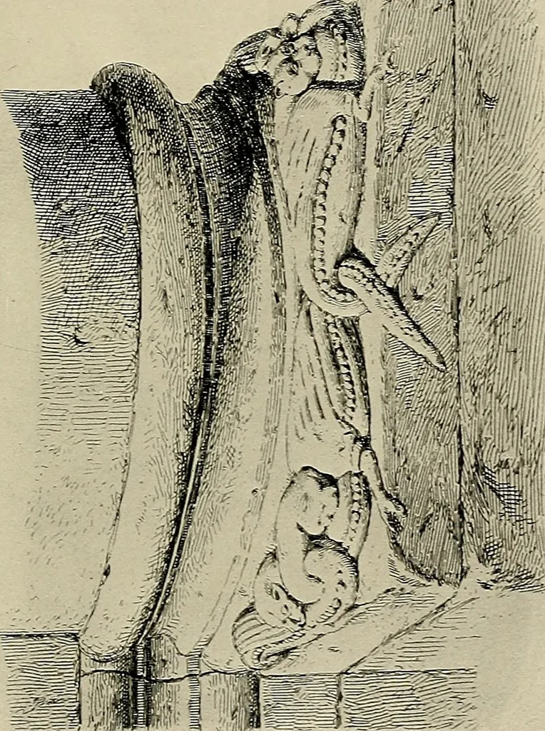 An illustration from Medieval architecture, its origins and development, with lists of monuments and bibliographies, 1909, leaf 408