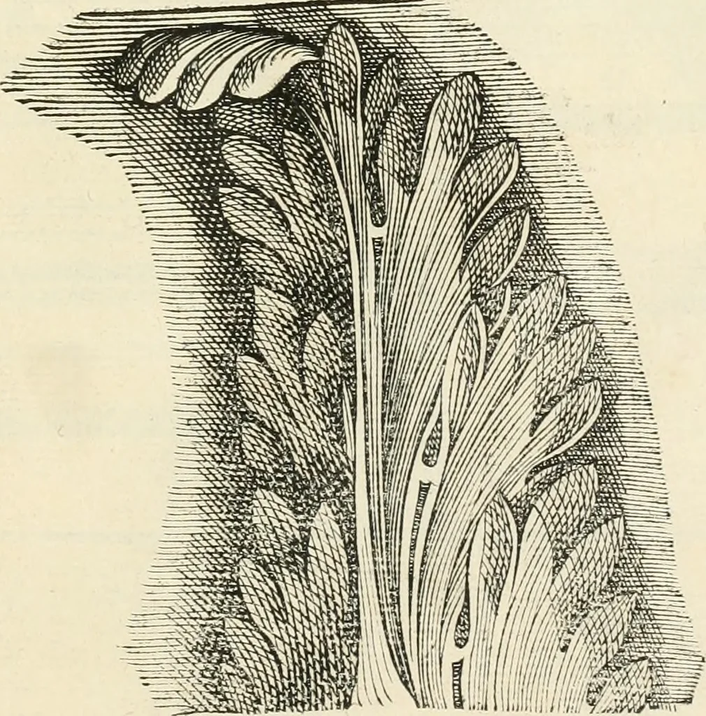 An illustration from Architecture, ou, Art de bien bastir, 1547, leaf 114