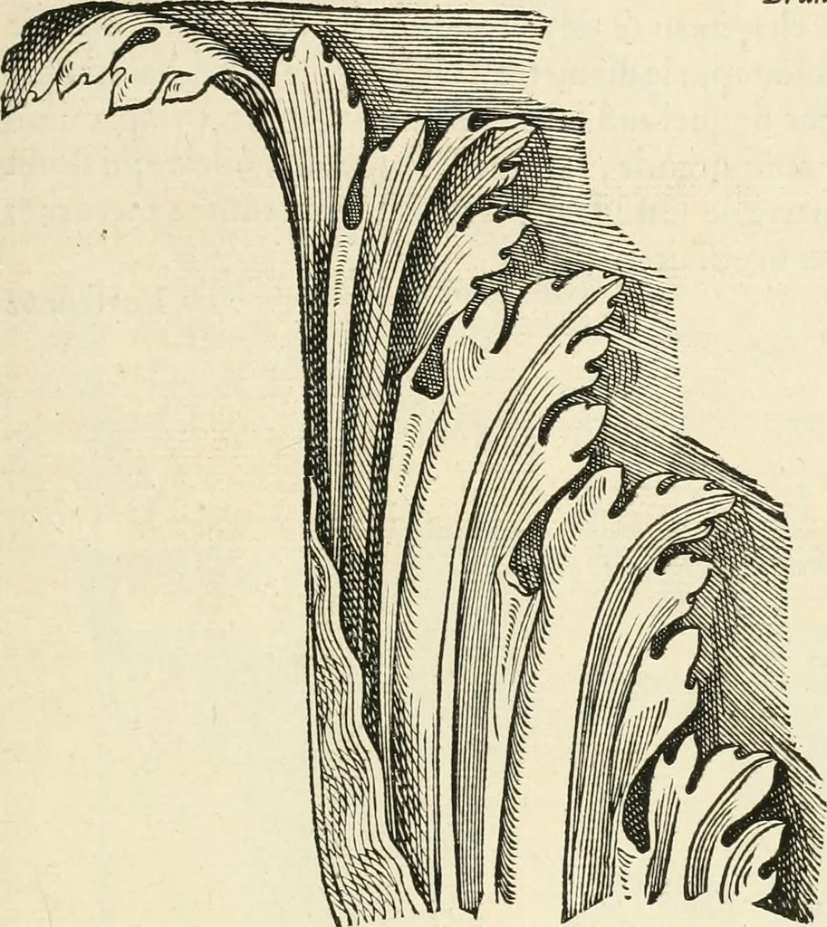 An illustration from Architecture, ou, Art de bien bastir, 1547, leaf 114