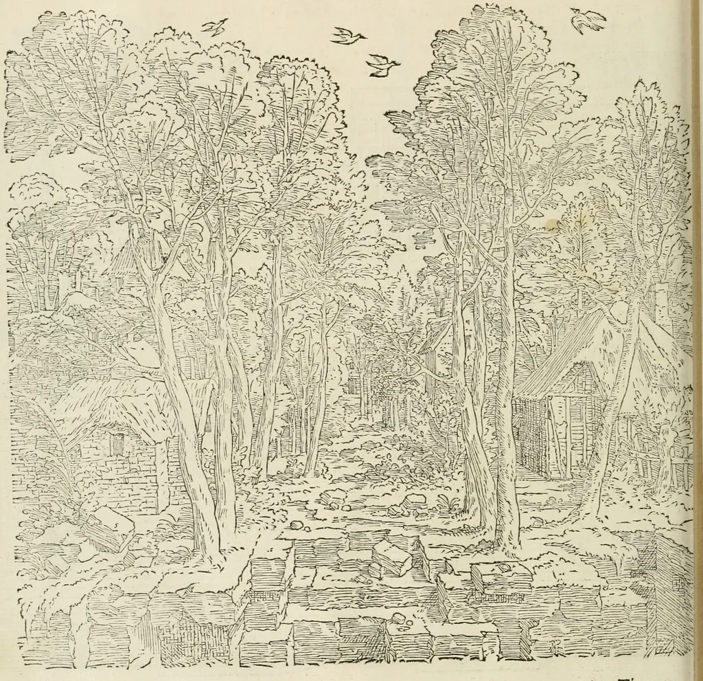 An illustration from Architecture, ou, Art de bien bastir, 1547, leaf 173