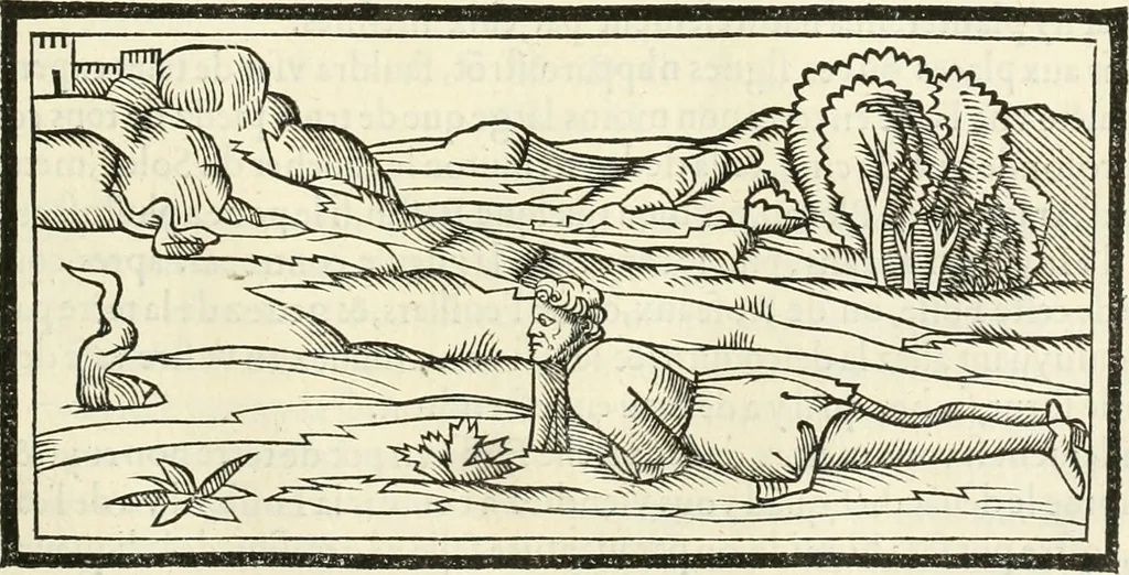An illustration from Architecture, ou, Art de bien bastir, 1547, leaf 238