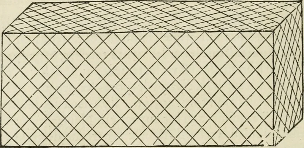 An illustration from Architecture, ou, Art de bien bastir, 1547, leaf 55
