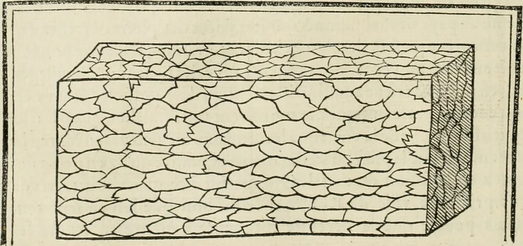 An illustration from Architecture, ou, Art de bien bastir, 1547, leaf 55