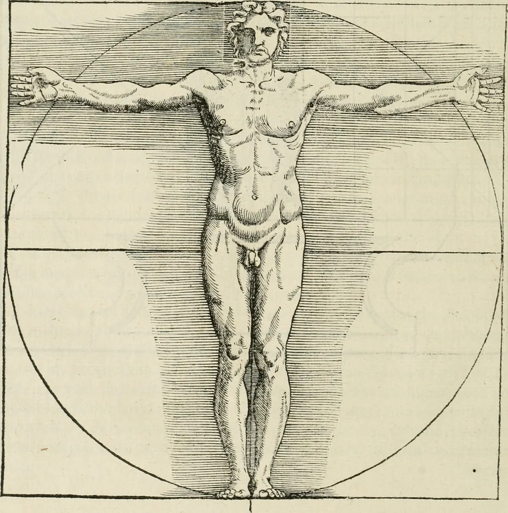An illustration from Architecture, ou, Art de bien bastir, 1547, leaf 71