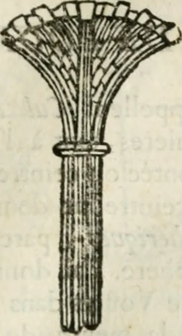 An illustration from Architecture pratique : qui comprend la construction générale et particuliere des bâtimens, le détail, les toisé et devis de chaque partie ... : avec une explication et une conférence de trente-six articles de la coutume de Paris, sur le titre des servitudes & rapports qui concernent les bâtimens, & de l'ordonnance de 1673, 1780, leaf 232