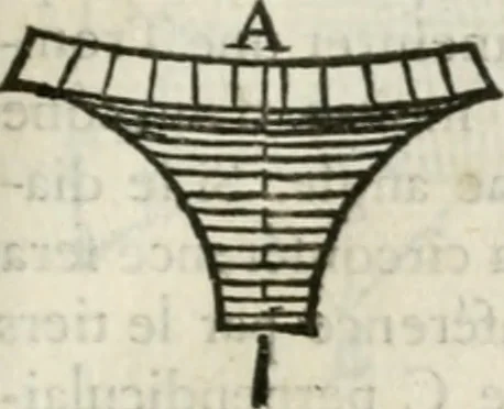 An illustration from Architecture pratique : qui comprend la construction générale et particuliere des bâtimens, le détail, les toisé et devis de chaque partie ... : avec une explication et une conférence de trente-six articles de la coutume de Paris, sur le titre des servitudes & rapports qui concernent les bâtimens, & de l'ordonnance de 1673, 1780, leaf 240