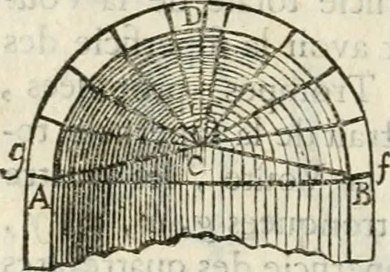 An illustration from Architecture pratique : qui comprend la construction générale et particuliere des bâtimens, le détail, les toisé et devis de chaque partie ... : avec une explication et une conférence de trente-six articles de la coutume de Paris, sur le titre des servitudes & rapports qui concernent les bâtimens, & de l'ordonnance de 1673, 1780, leaf 241