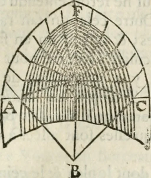 An illustration from Architecture pratique : qui comprend la construction générale et particuliere des bâtimens, le détail, les toisé et devis de chaque partie ... : avec une explication et une conférence de trente-six articles de la coutume de Paris, sur le titre des servitudes & rapports qui concernent les bâtimens, & de l'ordonnance de 1673, 1780, leaf 242