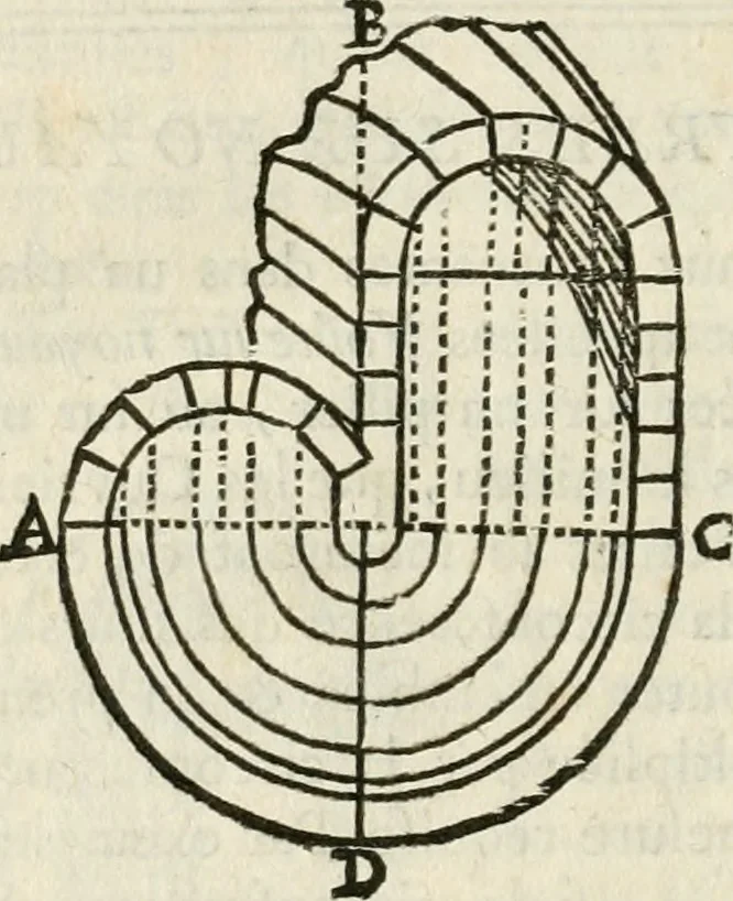 An illustration from Architecture pratique : qui comprend la construction générale et particuliere des bâtimens, le détail, les toisé et devis de chaque partie ... : avec une explication et une conférence de trente-six articles de la coutume de Paris, sur le titre des servitudes & rapports qui concernent les bâtimens, & de l'ordonnance de 1673, 1780, leaf 245