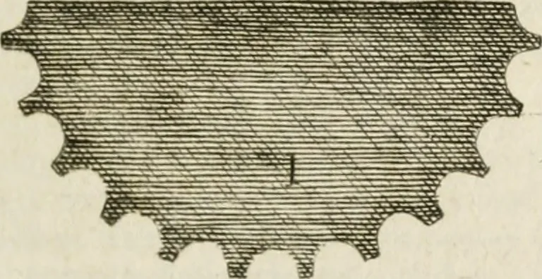 An illustration from Architecture pratique : qui comprend la construction générale et particuliere des bâtimens, le détail, les toisé et devis de chaque partie ... : avec une explication et une conférence de trente-six articles de la coutume de Paris, sur le titre des servitudes & rapports qui concernent les bâtimens, & de l'ordonnance de 1673, 1780, leaf 284