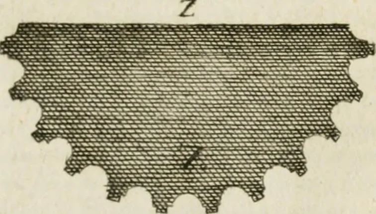 An illustration from Architecture pratique : qui comprend la construction générale et particuliere des bâtimens, le détail, les toisé et devis de chaque partie ... : avec une explication et une conférence de trente-six articles de la coutume de Paris, sur le titre des servitudes & rapports qui concernent les bâtimens, & de l'ordonnance de 1673, 1780, leaf 284