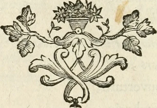 An illustration from Architecture pratique : qui comprend la construction générale et particuliere des bâtimens, le détail, les toisé et devis de chaque partie ... : avec une explication et une conférence de trente-six articles de la coutume de Paris, sur le titre des servitudes & rapports qui concernent les bâtimens, & de l'ordonnance de 1673, 1780, leaf 35