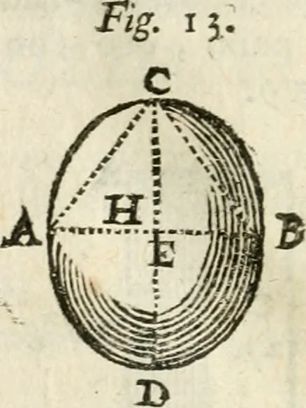 An illustration from Architecture pratique : qui comprend la construction générale et particuliere des bâtimens, le détail, les toisé et devis de chaque partie ... : avec une explication et une conférence de trente-six articles de la coutume de Paris, sur le titre des servitudes & rapports qui concernent les bâtimens, & de l'ordonnance de 1673, 1780, leaf 49
