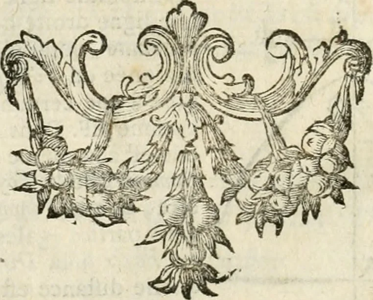 An illustration from Architecture pratique : qui comprend la construction générale et particuliere des bâtimens, le détail, les toisé et devis de chaque partie ... : avec une explication et une conférence de trente-six articles de la coutume de Paris, sur le titre des servitudes & rapports qui concernent les bâtimens, & de l'ordonnance de 1673, 1780, leaf 51