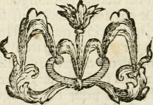 An illustration from Architecture pratique : qui comprend la construction générale et particuliere des bâtimens, le détail, les toisé et devis de chaque partie ... : avec une explication et une conférence de trente-six articles de la coutume de Paris, sur le titre des servitudes & rapports qui concernent les bâtimens, & de l'ordonnance de 1673, 1780, leaf 539