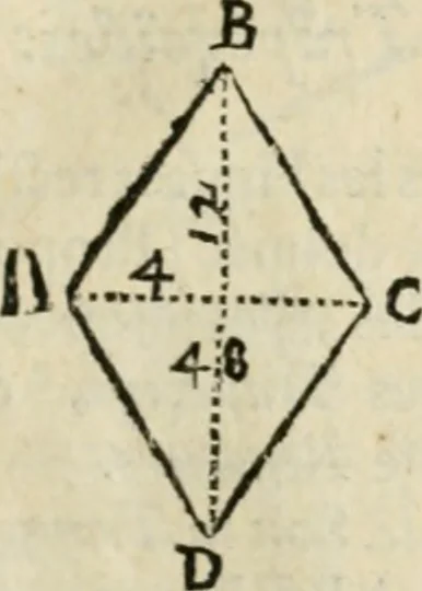 An illustration from Architecture pratique : qui comprend la construction générale et particuliere des bâtimens, le détail, les toisé et devis de chaque partie ... : avec une explication et une conférence de trente-six articles de la coutume de Paris, sur le titre des servitudes & rapports qui concernent les bâtimens, & de l'ordonnance de 1673, 1780, leaf 58