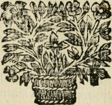 An illustration from Cours d'architecture qui comprend les ordres de Vignole : avec des commentaires, les figures & descriptions de ses plus beaux bâtimens, & de ceux de Michel-Ange : plusieurs nouveaux desseins, ornemens & préceptes concernant la distribution, la décoration ... & tout ce qui regarde l'art de bâtir : avec une ample explication par ordre alphabetique de tous les termes, 1693, leaf 120