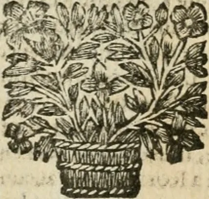 An illustration from Cours d'architecture qui comprend les ordres de Vignole : avec des commentaires, les figures & descriptions de ses plus beaux bâtimens, & de ceux de Michel-Ange : plusieurs nouveaux desseins, ornemens & préceptes concernant la distribution, la décoration ... & tout ce qui regarde l'art de bâtir : avec une ample explication par ordre alphabetique de tous les termes, 1693, leaf 166