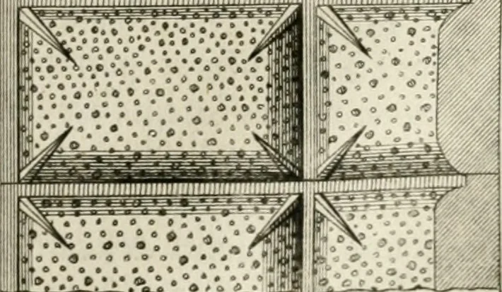 An illustration from Cours d'architecture qui comprend les ordres de Vignole : avec des commentaires, les figures & descriptions de ses plus beaux bâtimens, & de ceux de Michel-Ange : plusieurs nouveaux desseins, ornemens & préceptes concernant la distribution, la décoration ... & tout ce qui regarde l'art de bâtir : avec une ample explication par ordre alphabetique de tous les termes, 1693, leaf 476