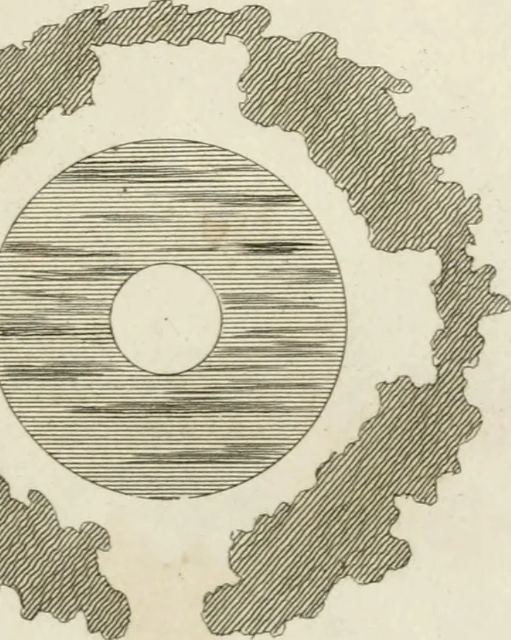 An illustration from Grotesque architecture, or, Rural amusement : consisting of plans, elevations, and sections, for huts, retreats, summer and winter hermitages, terminaries, Chinese, Gothic, and natural grottos, cascades, baths, mosques, Moresque pavilions, grotesque and rustic seats, green-houses, &c. many of which may be executed with flints, irregular sotnes, rude branches, and roots of trees : the whole containing twenty-eight new designs, with scales to each : to which is added, an explanation, with the methods of executing them, 1815, leaf 50