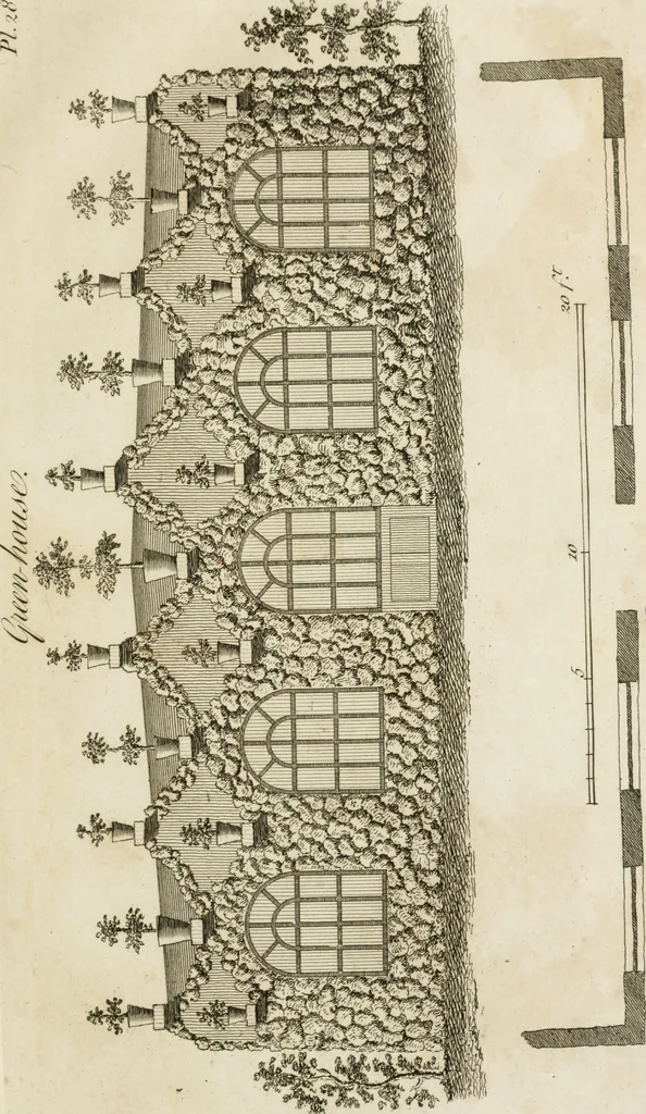 An illustration from Grotesque architecture, or, Rural amusement : consisting of plans, elevations, and sections, for huts, retreats, summer and winter hermitages, terminaries, Chinese, Gothic, and natural grottos, cascades, baths, mosques, Moresque pavilions, grotesque and rustic seats, green-houses, &c. many of which may be executed with flints, irregular sotnes, rude branches, and roots of trees : the whole containing twenty-eight new designs, with scales to each : to which is added, an explanation, with the methods of executing them, 1815, leaf 66
