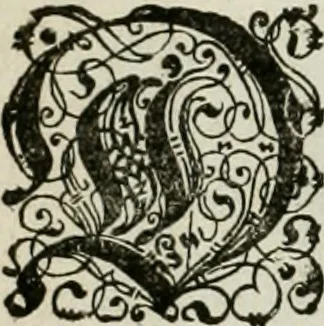 An illustration from Architectvra, vonn Ausstheijlung der fünff Seülen, vnd aller darausz folder Kunst vnd Arbeit von Festern, Camin, Thürgerichten, Portale, Bruñen vnd Epitaphie, 1612, leaf 15
