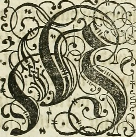 An illustration from Architectvra, vonn Ausstheijlung der fünff Seülen, vnd aller darausz folder Kunst vnd Arbeit von Festern, Camin, Thürgerichten, Portale, Bruñen vnd Epitaphie, 1612, leaf 6