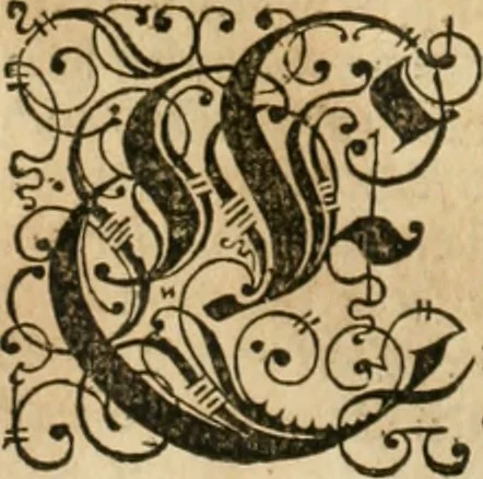 An illustration from Architectvra von Vestungen. Wie die zu vnsern Zeiten mögen erbawen werden, an Stätten, Schlössern vñ Clussen, zu Wasser, Land, Berg vñ Thal, mit jren Bollwercken, Caualiren, Streichen, Gräben vnd Leuffen, sampt deren gantzen Anhang vnd Nutzbarkeit, auch wie die Gegenwehr zu gebrauchen, was für Geschütz dahin gehörig, vnnd wie es geordnet vnnd gebraucht werden soll, alles ausz Grund vnd deren Fundamenten. Sampt den Grund Rissen, Visierungen, vnd Auffzügen für Augen gestellt, 1589, leaf 109