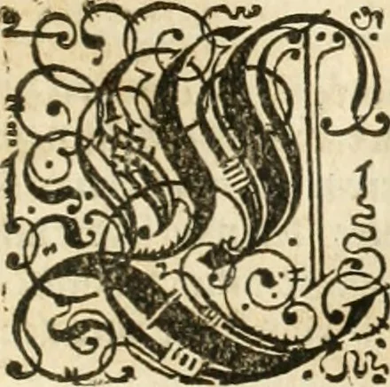An illustration from Architectvra von Vestungen. Wie die zu vnsern Zeiten mögen erbawen werden, an Stätten, Schlössern vñ Clussen, zu Wasser, Land, Berg vñ Thal, mit jren Bollwercken, Caualiren, Streichen, Gräben vnd Leuffen, sampt deren gantzen Anhang vnd Nutzbarkeit, auch wie die Gegenwehr zu gebrauchen, was für Geschütz dahin gehörig, vnnd wie es geordnet vnnd gebraucht werden soll, alles ausz Grund vnd deren Fundamenten. Sampt den Grund Rissen, Visierungen, vnd Auffzügen für Augen gestellt, 1589, leaf 208