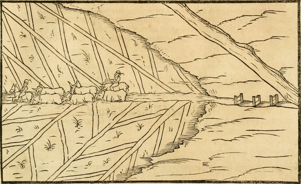 An illustration from Architectvra von Vestungen. Wie die zu vnsern Zeiten mögen erbawen werden, an Stätten, Schlössern vñ Clussen, zu Wasser, Land, Berg vñ Thal, mit jren Bollwercken, Caualiren, Streichen, Gräben vnd Leuffen, sampt deren gantzen Anhang vnd Nutzbarkeit, auch wie die Gegenwehr zu gebrauchen, was für Geschütz dahin gehörig, vnnd wie es geordnet vnnd gebraucht werden soll, alles ausz Grund vnd deren Fundamenten. Sampt den Grund Rissen, Visierungen, vnd Auffzügen für Augen gestellt, 1589, leaf 210