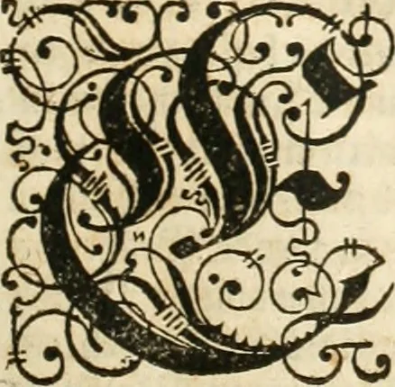 An illustration from Architectvra von Vestungen. Wie die zu vnsern Zeiten mögen erbawen werden, an Stätten, Schlössern vñ Clussen, zu Wasser, Land, Berg vñ Thal, mit jren Bollwercken, Caualiren, Streichen, Gräben vnd Leuffen, sampt deren gantzen Anhang vnd Nutzbarkeit, auch wie die Gegenwehr zu gebrauchen, was für Geschütz dahin gehörig, vnnd wie es geordnet vnnd gebraucht werden soll, alles ausz Grund vnd deren Fundamenten. Sampt den Grund Rissen, Visierungen, vnd Auffzügen für Augen gestellt, 1589, leaf 40