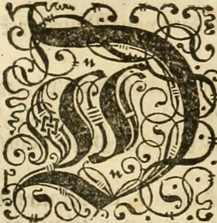 An illustration from Architectvra von Vestungen. Wie die zu vnsern Zeiten mögen erbawen werden, an Stätten, Schlössern vñ Clussen, zu Wasser, Land, Berg vñ Thal, mit jren Bollwercken, Caualiren, Streichen, Gräben vnd Leuffen, sampt deren gantzen Anhang vnd Nutzbarkeit, auch wie die Gegenwehr zu gebrauchen, was für Geschütz dahin gehörig, vnnd wie es geordnet vnnd gebraucht werden soll, alles ausz Grund vnd deren Fundamenten. Sampt den Grund Rissen, Visierungen, vnd Auffzügen für Augen gestellt, 1589, leaf 44