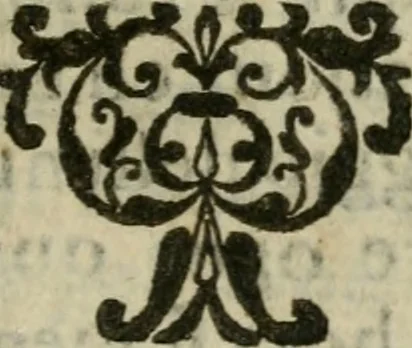 An illustration from Manuale d'architettura : breue, e risoluta prattica, 1629, leaf 160
