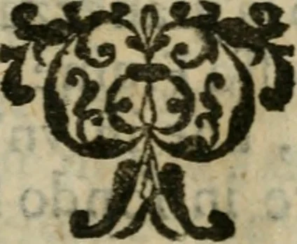 An illustration from Manuale d'architettura : breue, e risoluta prattica, 1629, leaf 214