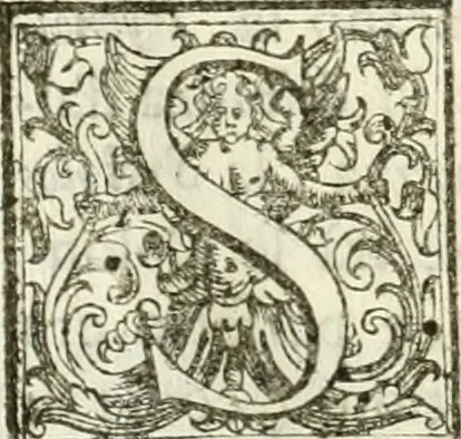 An illustration from Architettura ciuile demostratiuamente proportionata et accresciuta di nuoue regole : con l'vso delle quali si facilita l'inuentione d'ogni douuta proportione nelli cinque ordini, e col ritrouamento d'vn nuouo strumento angolare, si da il modo à gl'operarij medesimi di pratticamente stabilire le sacome in ogni loro necessario contorno, 1661, leaf 102