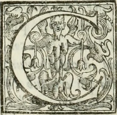 An illustration from Architettura ciuile demostratiuamente proportionata et accresciuta di nuoue regole : con l'vso delle quali si facilita l'inuentione d'ogni douuta proportione nelli cinque ordini, e col ritrouamento d'vn nuouo strumento angolare, si da il modo à gl'operarij medesimi di pratticamente stabilire le sacome in ogni loro necessario contorno, 1661, leaf 107